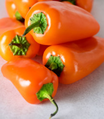 Paprika Snacking Orange - Capsicum annuum - semená papriky - 5 ks