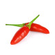 Chilli Thai Hot Birds Eye - Capsicum annuum - semená chilli - 6 ks