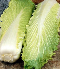 BIO Kapusta pekingská Granat - Brassica oleracea - bio semená kapusty - 100 ks