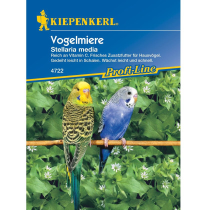 Vtáčinec pre vtáky - semená Kiepenkerl - 1 ks