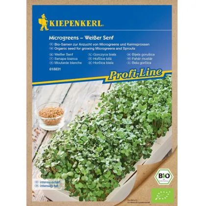 BIO Biela horčica - microgreens - 50 g