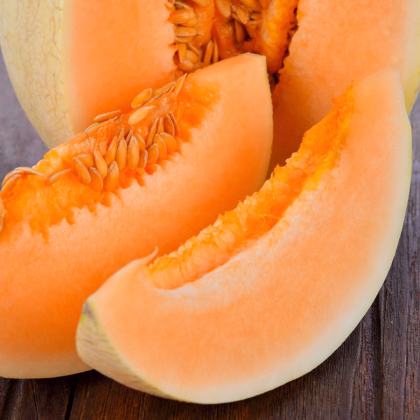 BIO Melón cukrový Sweet Granite - Cucumis melo - bio semená melónu - 10 ks