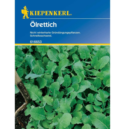 Zelené hnojenie - Reďkev olejná - semená - 75 g