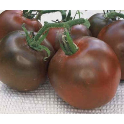 Paradajka čierna - predaj semienok paradajok - 6 ks