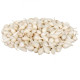 Cibuľa sadzačka Snowball - Allium cepa - cibuľky - 250 g