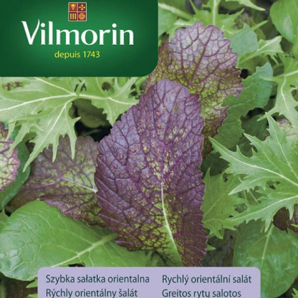 Rýchly orientálny šalát - semená - Vilmorin - 2 g