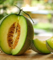 Melón galia Exelor F1 - Cucumis melo - semená melónu - 5 ks