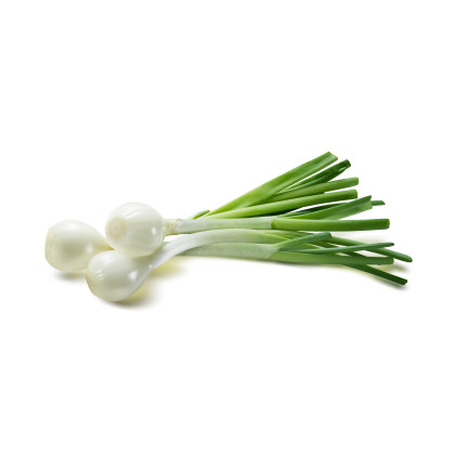 Cibuľa jarná biela Pompei - Allium cepa - semená cibule - 1 g