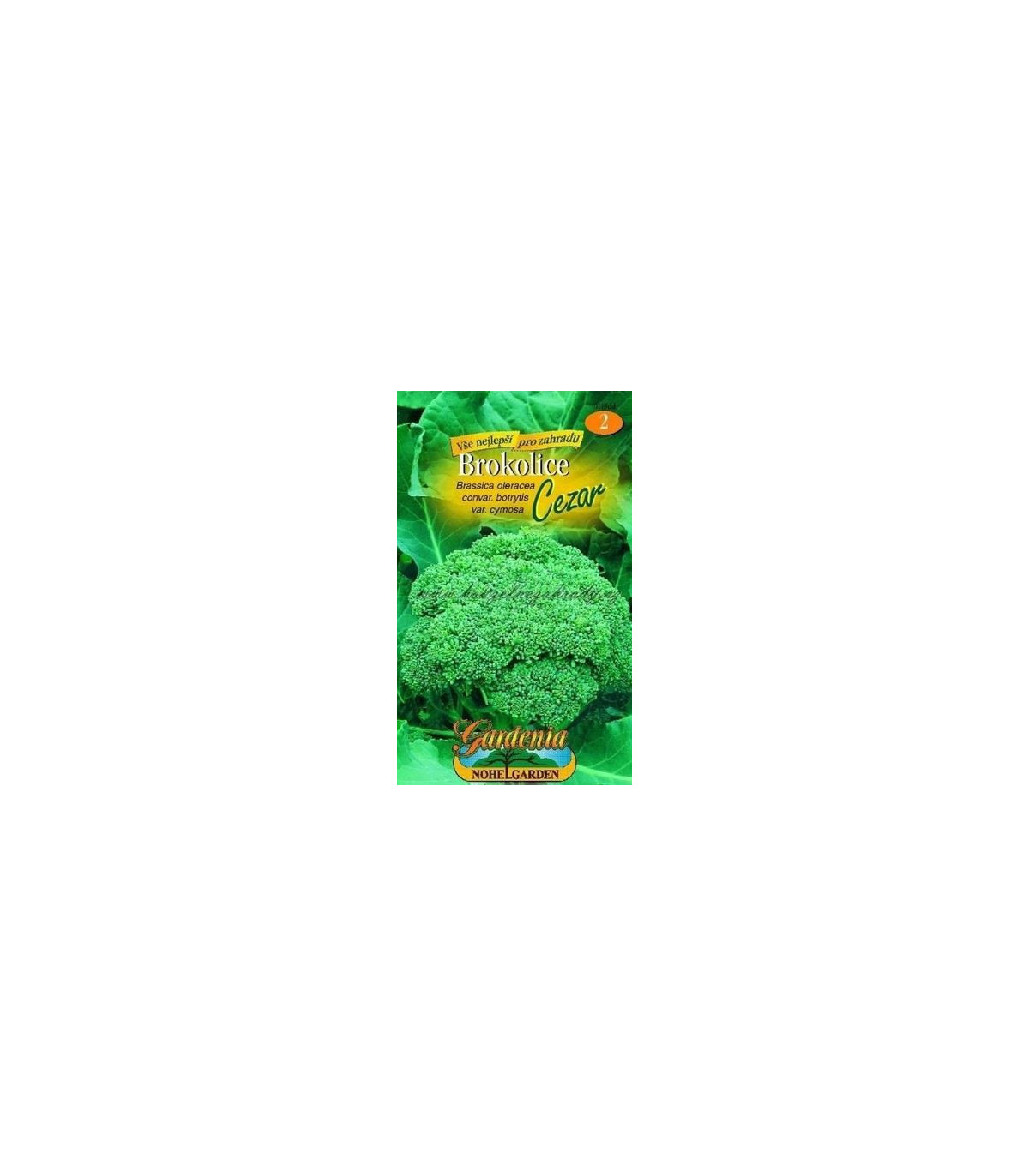 Brokolica Cezar- Brassica oleracea- semená- 120 ks