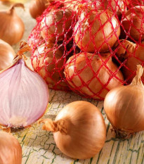 Cibuľa šalotka Red Sun - Allium cepa - cibuľky - 500 g