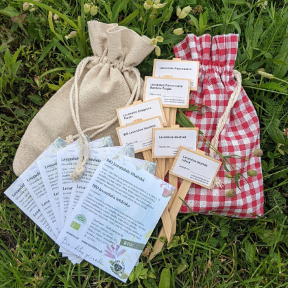 Darčekový balíček semien levandúľ – darčekové balenie zadarmo