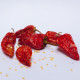 Chilli Trinidad Moruga Scorpion - Capsicum chinense - sušené plody