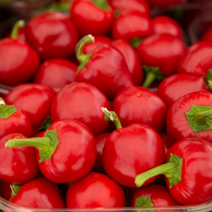 BIO Paprika Babybell červená - Capsicum annuum - semená papriky - 10 ks