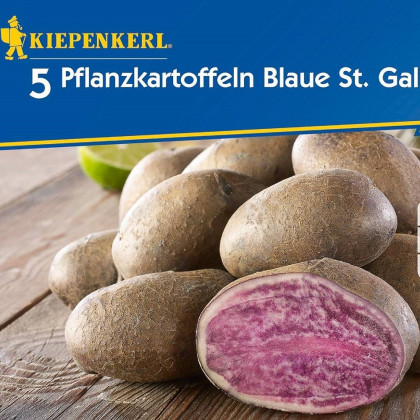 Sadbové zemiaky Blaue St. Galler - Solanum tuberosum - Kiepenkerl - 5 ks