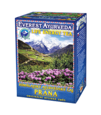 Prana - Ajurvédsky bylinný čaj - 100 g