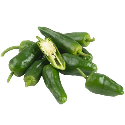 BIO Chilli Pimientos De Padron - Capsicum annuum - semená chilli - 7 ks