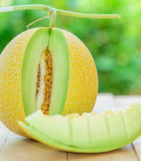 BIO Melón Arava F1 Galia - Cucumis melo - bio semená melóna - 6 ks