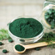 BIO Spirulina - prášok - bio kvalita - 100 g