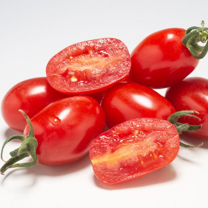 Paradajka Dattored F1 - Solanum lycopersicum - semená paradajky - 6 ks