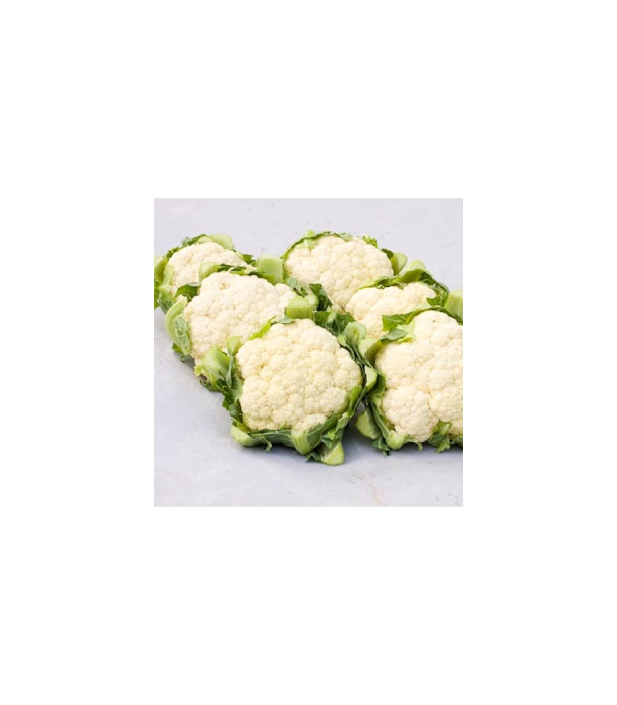 BIO Karfiol Amabile KS - Brassica oleracea - bio semená karfiolu - 20 ks