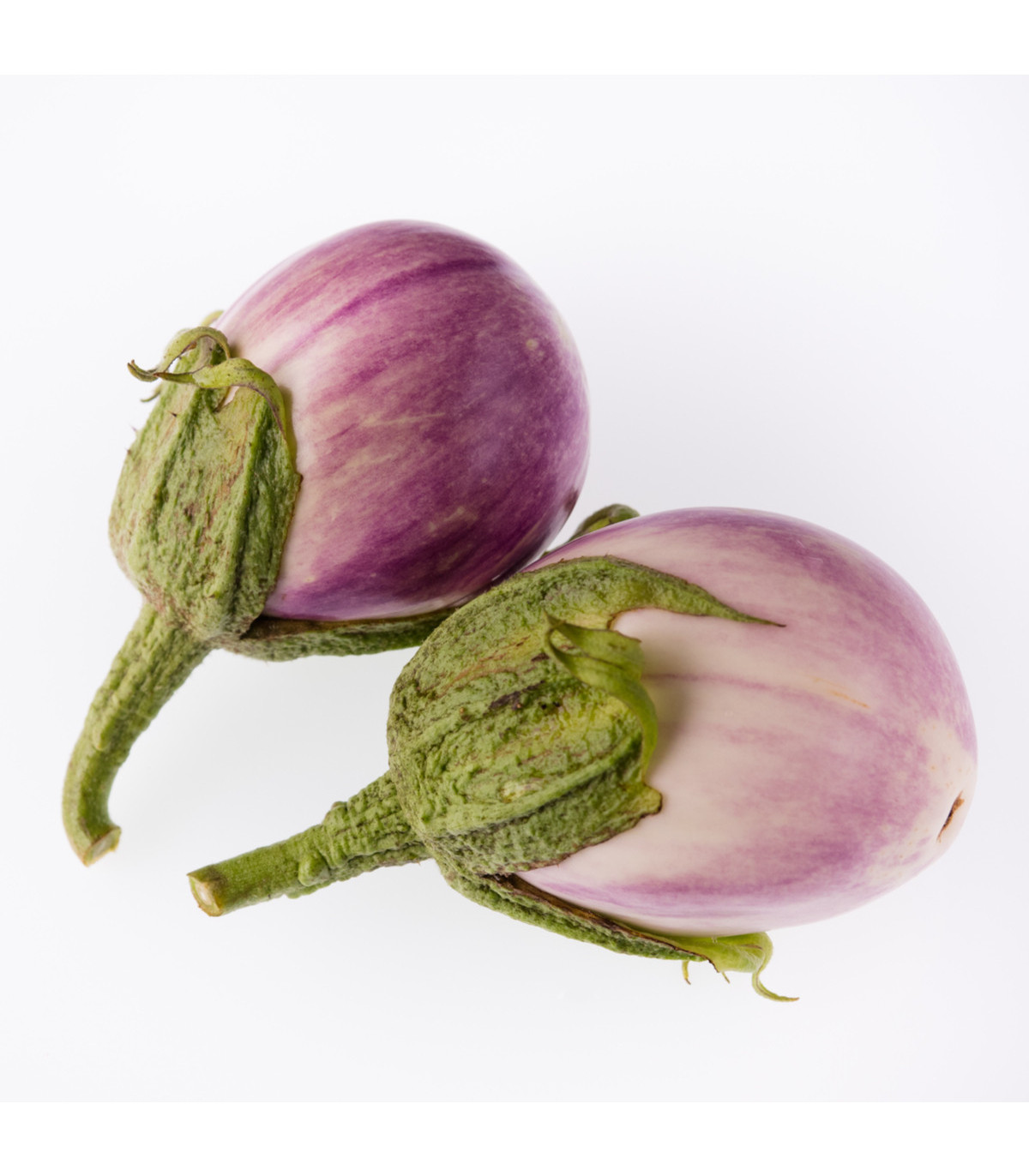 Baklažán - Rosa Bianca - predaj semien baklažánu - 6 ks