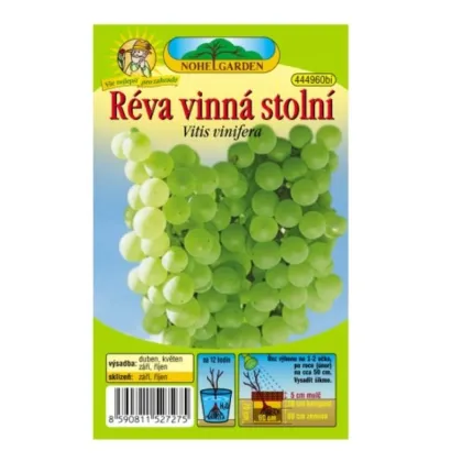 Vinič hroznorodý - Vitis vinifera - sadenice viniča - 1 ks