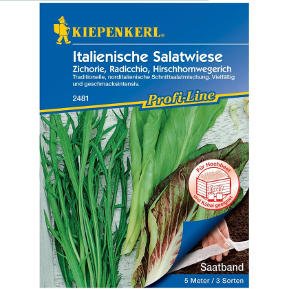 Semená talianskych šalátov - výsevný pásik - 5 m