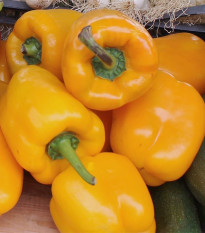 BIO paprika Quadrato Asti Giallo - Capsicum annuum - bio semená papriky - 8 ks