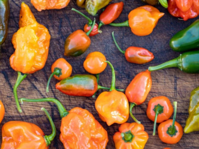Chilli papričky sú zdravé. Prečo vlastne tak pália?